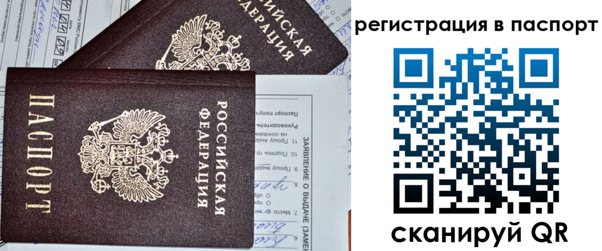 прописка законно в Фокино